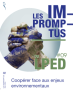 image Imp_9 (60.2kB)
