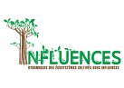 Logo de l'ANR INFLUENCES
Lien vers: https://sharedocs.huma-num.fr/wl/?id=LTx4HtwYDZIV4bLh4LcB0yCgnTX2wgXO&fmode=download