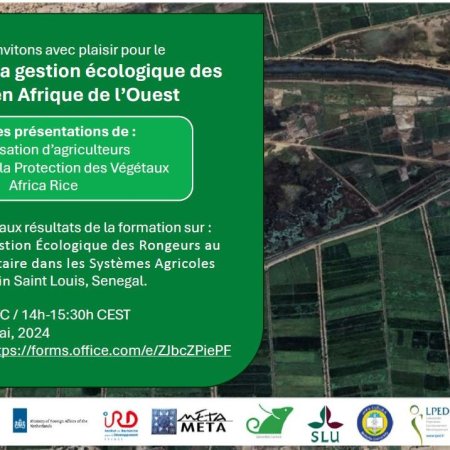 Webinaire sur la gestion environnementale des rongeurs en Afrique de l'Ouest, 22 Mai