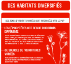 DesHabitatsDiversifies2_habitats-div.png
