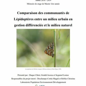Comparaison des communautés de Lépidoptères entre un milieu urbain en gestion différenciée et le milieu naturel (2019) 