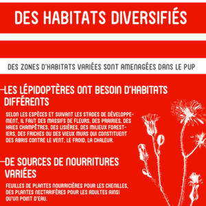 14 - Des habitats diversifiés