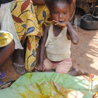 Anthropology of Food - Alimentation et crises