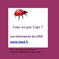 CAPS ou pas CAPS ? Discussions collectives autour des primes dans l'ESR aujourd'hui : RIPEC, PEDR...