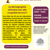 Miniconférence -  Les démographes du LPED sur la démographie africaine