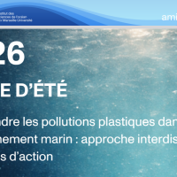 Claire Lajaunie, One Health et océan : protéger l’océan pour protéger la santé de la planète
