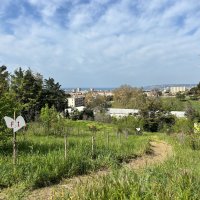 Découvrez le Parc Urbain des Papillons (Marseille)