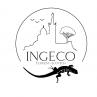 image logo_ingeco_site.jpg (51.4kB)