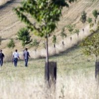 L’agroécologie comme enjeu de luttes