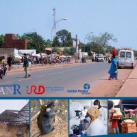 L'Atlas des relations homme - rat noir - zoonoses au Sénégal est désormais accessible en ligne