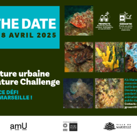  Le PUP participe au City Nature Challenge 