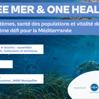 One Health marin en Méditerranée : comprendre les interdépendances pour agir