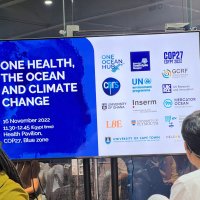 One Health, the ocean and climate change, One Health policy paths to the SDGs