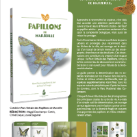 Papillons de Marseille