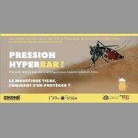 Pression hyperbar ! Le moustique tigre, comment s’en protéger ? Marseille, Brasserie Zoumaï, Mercredi 21 mai 2025