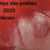 Qu'est-ce que bien soigner? L'enquête sera présentée  dimanche 30 mars au Printemps de poètes de Velleron