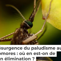 Résurgence du paludisme aux Comores : où en est-on de son élimination ? Attoumane ARTADJI et Vincent Herbreteau 