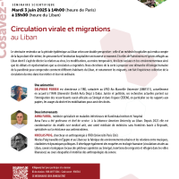 Séminaire Cosavez-vous Migrations 3 juin 14h-15h30 "Circulation virale et migrations au Liban"