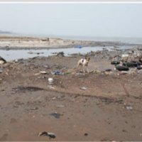 Webinaire One Health & Zoonose (RAEE) : Inégalités environnementales et santé. Les plages de Conakry…