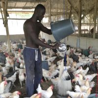 Webinaire RAEE : « Global One Health » sur l'AMR, écueils et incompréhensions en santé humaine, animale et environnementale au Burkina Faso et au Ghana, Carine Baxerres, Jeudi 12 Juin