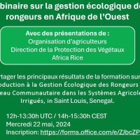 Webinaire sur la gestion environnementale des rongeurs en Afrique de l'Ouest 