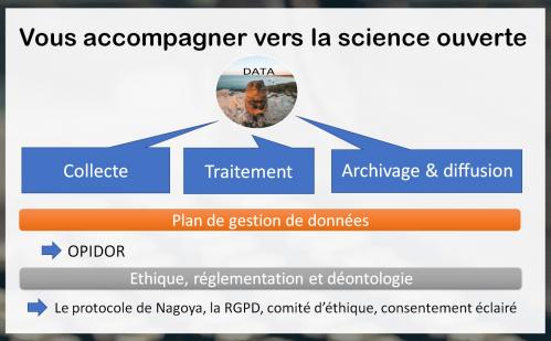 image diapo2.jpg (0.3MB)